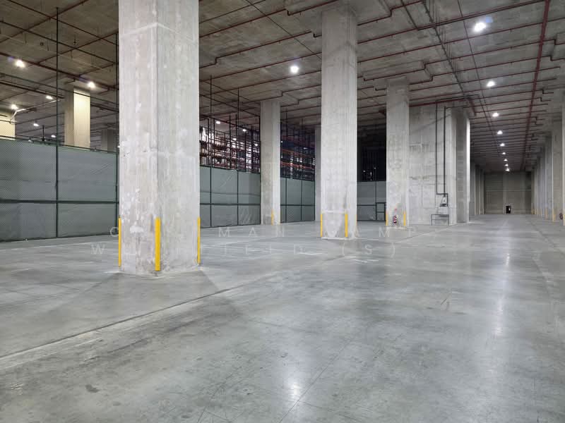 Ramp-Up Warehouse with Excellent Specs in the West, , 47,808 sqft, Factory / Workshop (B2) For Rent, by ERIC TAN, 500095244 - Interior - CommercialGuru.com.sg
