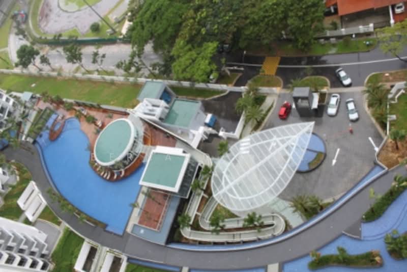 Condo Pool & Facilities