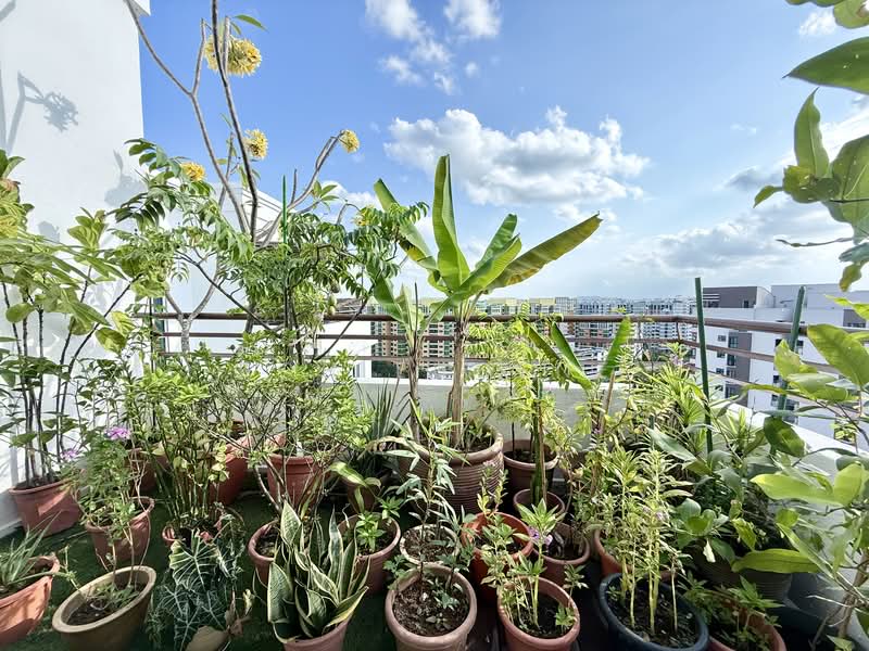 Northoaks Condominium For Sale at S$ 2,200,000 | PropertyGuru Singapore - Balcony