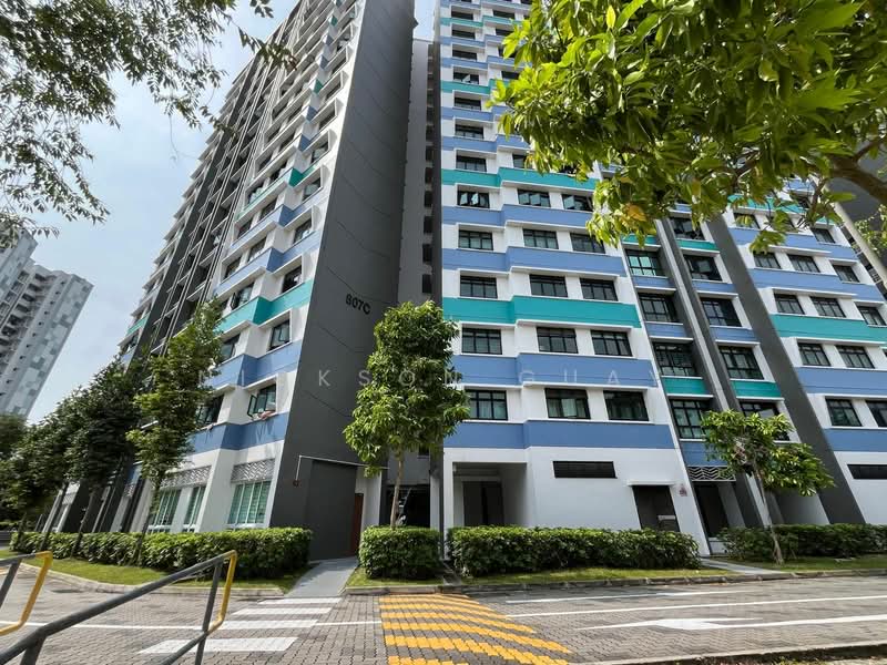 807C Choa Chu Kang Avenue 1 HDB Flat For Sale at S$ 665,000 | PropertyGuru Singapore - Exterior