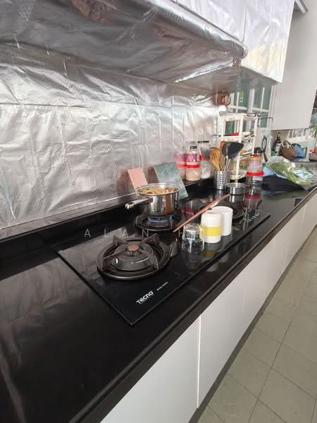 Thrift Drive, Thrift Drive, Room Rental, 300 sqft, Terraced House For Rent, by Alan Huy, 500096565 - PropertyGuru.com.sg