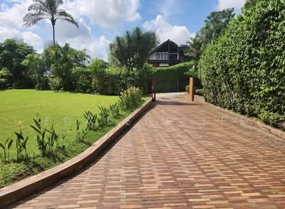 For Sale - Olive Road