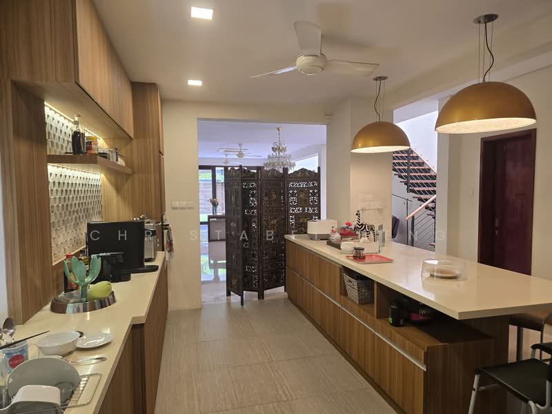 🌸🍀 RARE QUIET GARDEN FACING DONT MISS 2 STOREY SEMI-D Semi-Detached House For Sale at S$ 9,500,000 | PropertyGuru Singapore - Kitchen
