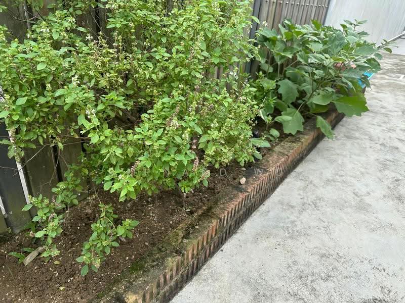 Semi D at MRT Sixth Avenue for Rebuilt, Lotus Avenue / Sixth Avenue, Tanglin / Holland / Bukit Timah, 4 Bedrooms, 2,800 sqft, Semi-Detached House For Sale, by Bernard Wu, 500097031 - Garden - PropertyGuru.com.sg