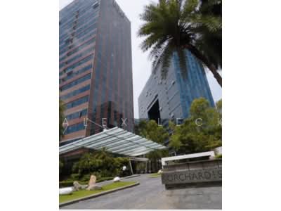 For Rent - Orchard Scotts