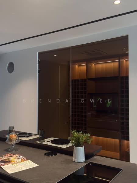 Sky pool villa @ Fernhill Semi-Detached House For Sale at S$ 10,900,000 | PropertyGuru Singapore