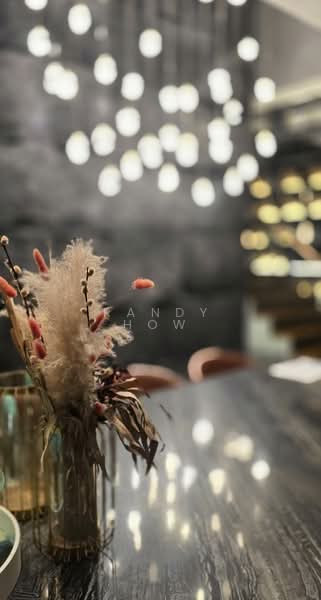 3 sty move in terrace Terraced House For Sale at S$ 6,500,000 | PropertyGuru Singapore - Interior