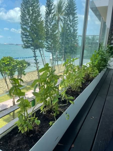 The Azure, 201 Ocean Drive, 3 Bedrooms, 1,335 sqft, Condominium For Rent, by Shawn Yang, 500097250 - View - PropertyGuru.com.sg