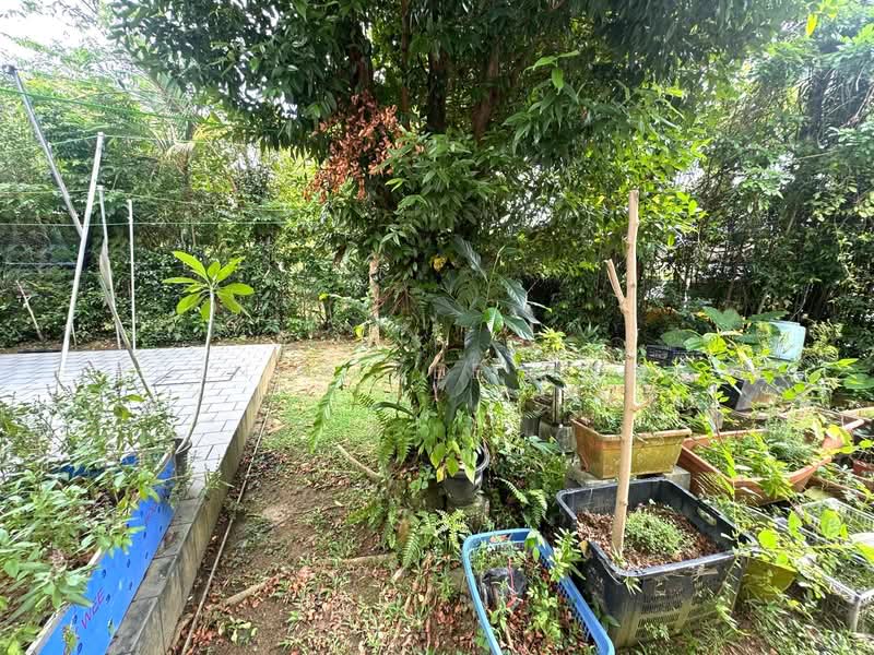 BRENDA ZEE ✧ 945O9938 ✧ Lornie/Thomson Vicinity ✧ GCB with Pool Good Class Bungalow For Sale at S$ 40,000,000 | PropertyGuru Singapore - Garden