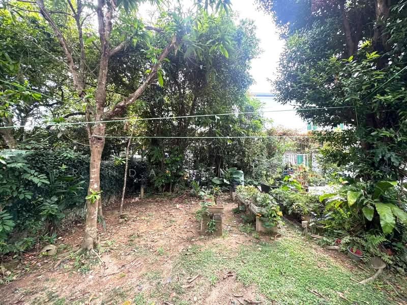 BRENDA ZEE ✧ 945O9938 ✧ Lornie/Thomson Vicinity ✧ GCB with Pool Good Class Bungalow For Sale at S$ 40,000,000 | PropertyGuru Singapore - Garden