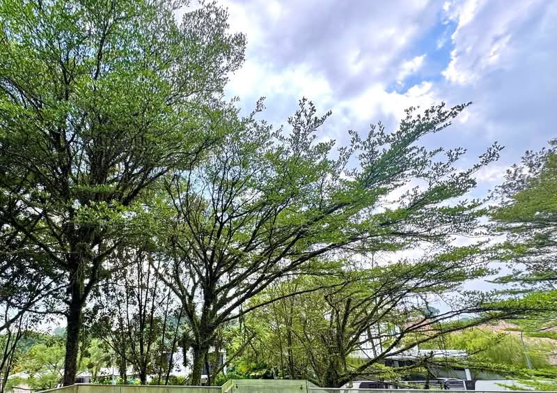 BRENDA ZEE ✧ 945O9938 ✧ Thomson / Caldecott Vicinity ✧ GCB with Pool & Lift Good Class Bungalow For Sale at S$ 30,000,000 | PropertyGuru Singapore - Garden