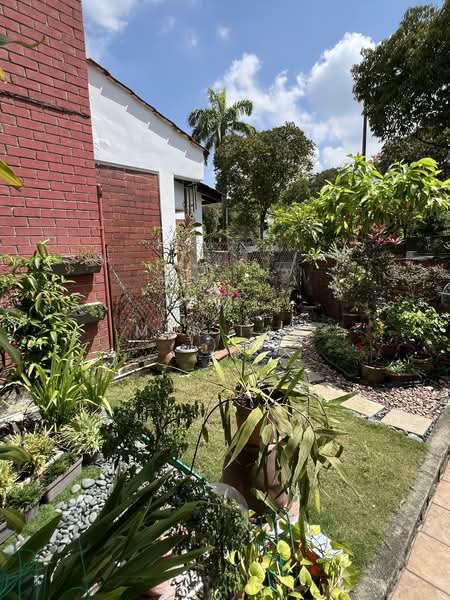 Thomson Hill Estate Terraced House For Sale at S$ 4,650,000 | PropertyGuru Singapore - Garden