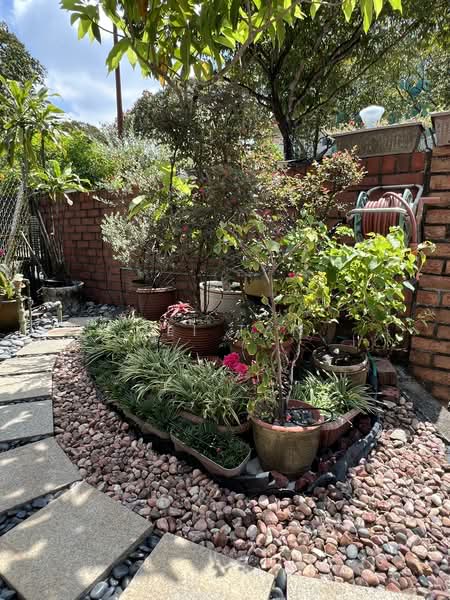 Thomson Hill Estate Terraced House For Sale at S$ 4,650,000 | PropertyGuru Singapore - Garden