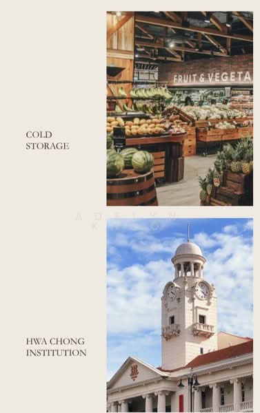 ☎️ADELYN 9325❤️❤️9988 ✨⭐️MODERN ELEGANCE LUXURY DETACHED HOME ✨⭐️ Detached House For Sale at S$ 18,000,000 | PropertyGuru Singapore - Exterior