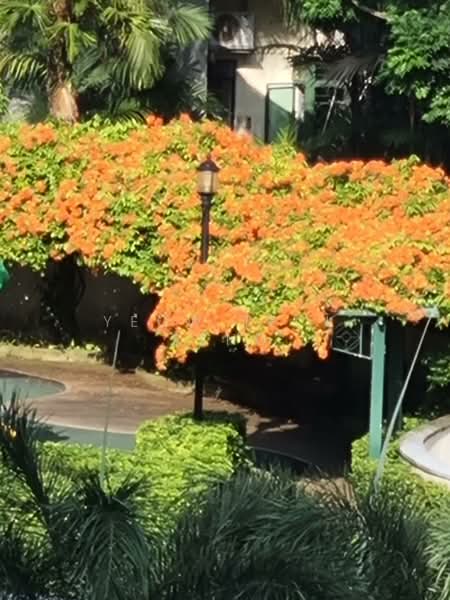 Signature Park, 50A Toh Tuck Road, Room Rental, 120 sqft, Condominium For Rent, by Yeow Teck Beng, 500097508 - PropertyGuru.com.sg