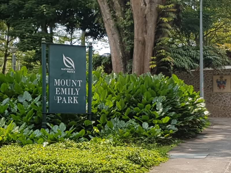 Cheap Freehold Spacious 3Bedder at Wilkie Road, , 3 Bedrooms, 1,517 sqft, Apartment For Sale, by Yu Yin, Tan 友盈, 500098162 - Exterior - PropertyGuru.com.sg