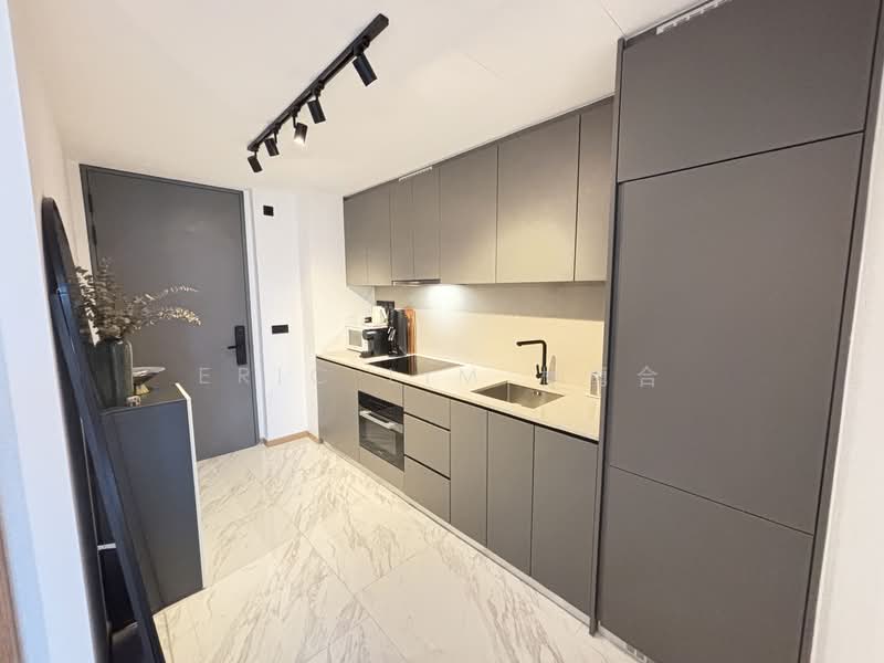 The Landmark, , 2 Bedrooms, 678 sqft, Condominium For Rent, by Eric Lim 林勇合, 500098163 - Kitchen - PropertyGuru.com.sg