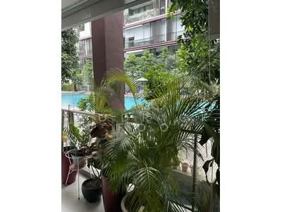 For Rent - Buckley Classique