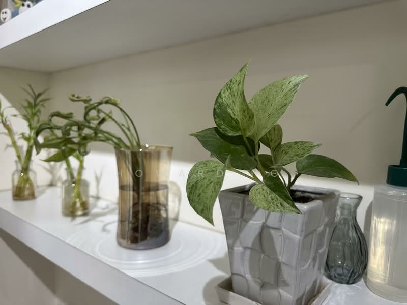 For Sale - 120A Canberra Crescent