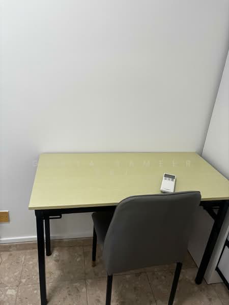 UE Square, 205 River Valley Road, Room Rental, 150 sqft, Apartment For Rent, by Gupta Sameer Raj, 500098921 - PropertyGuru.com.sg