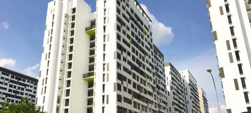 608C Tampines North Drive 1, 608C Tampines North Drive 1, Room Rental, 110 sqft, HDB Flat For Rent, by Felicia Ang, 500099012 - Exterior - PropertyGuru.com.sg