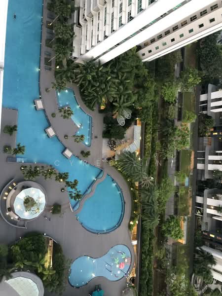 Tree House, 66 Chestnut Avenue, 4 Bedrooms, 1,560 sqft, Condominium For Rent, by Cyree Lin, 500099027 - Pool - PropertyGuru.com.sg