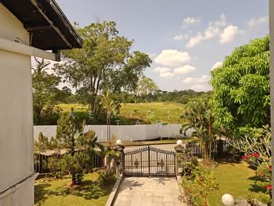 For Sale - Olive Road