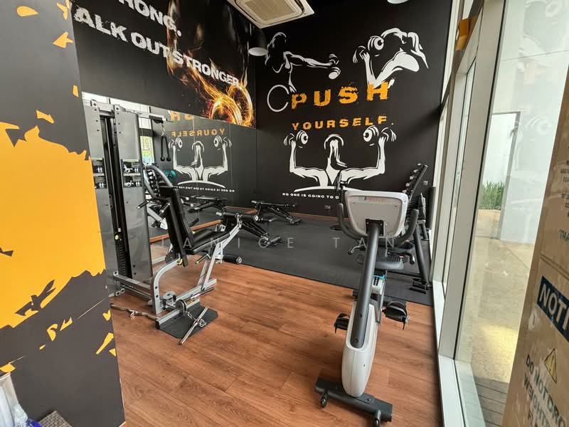 The Metropolitan Condominium, 8 Alexandra View, 4 Bedrooms, 1,733 sqft, Condominium For Sale, by Janice Tan, 500099115 - Gym - PropertyGuru.com.sg