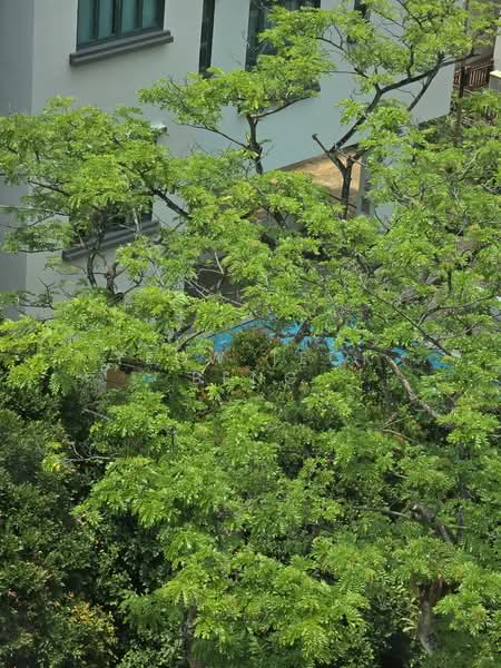 Signature Park, 50 Toh Tuck Road, 3 Bedrooms, 1,399 sqft, Condominium For Rent, by Yeow Teck Beng, 500099128 - Exterior - PropertyGuru.com.sg