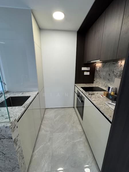 Tembusu Grand, 94 Jalan Tembusu, 2 Bedrooms, 743 sqft, Condominium For Rent, by Adrian Koh, 500099219 - Kitchen - PropertyGuru.com.sg