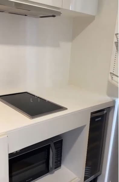 Skysuites @ Anson, 8 Enggor Street, 1 Bedroom, 400 sqft, Condominium For Rent, by BREEZE, 500099627 - Kitchen - PropertyGuru.com.sg