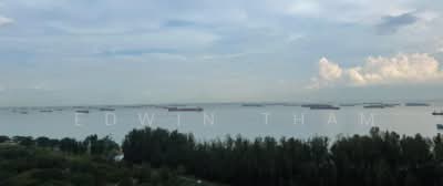 For Sale - MEYER BLUE