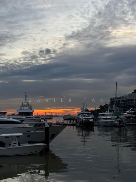 The Reef at King's Dock, 16 Harbourfront Avenue, 2 Bedrooms, 883 sqft, Condominium For Rent, by Javier Tan, 500099984 - PropertyGuru.com.sg