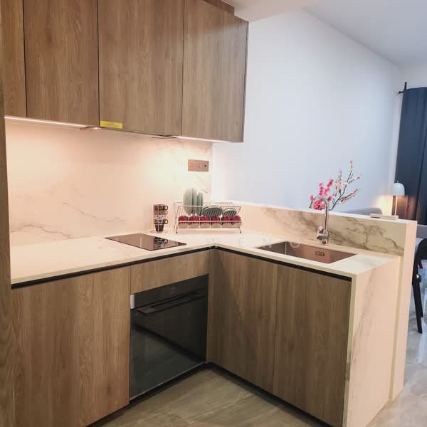 Leedon Green, 32 Leedon Heights, 1 Bedroom, 538 sqft, Condominium For Rent, by Liz Weng, 500100048 - Kitchen - PropertyGuru.com.sg