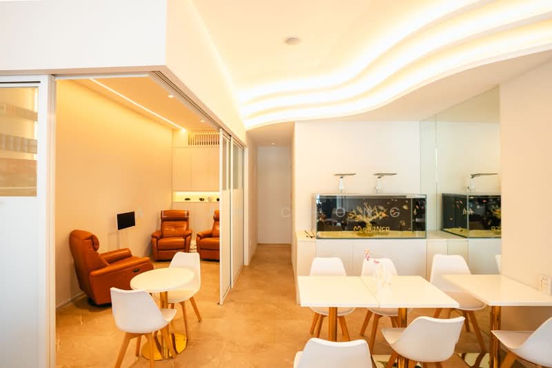 Rangoon 88, Rangoon Road, 750 sqft, Shop / Shophouse For Rent, by Allan Chong, 500100083 - Interior - CommercialGuru.com.sg