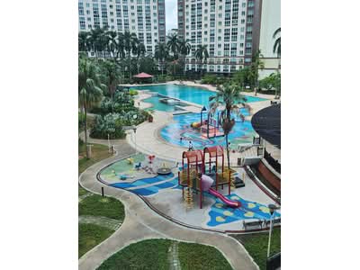 For Sale - The Tropica