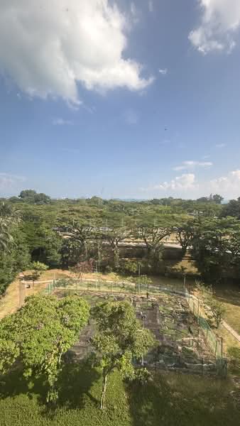 Bayshore Park, 50 Bayshore Road, 2 Bedrooms, 936 sqft, Condominium For Rent, by Felice Cheong, 500100854 - View from living area - PropertyGuru.com.sg