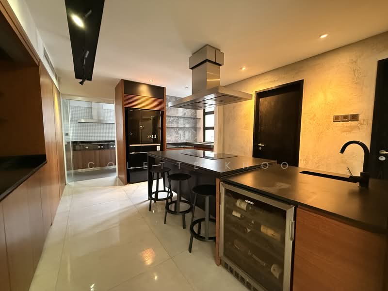 Crystal Court, 456 River Valley Road, 4 Bedrooms, 2,605 sqft, Apartment For Rent, by Colette Khoo, 500100872 - Dry Kitchen - PropertyGuru.com.sg