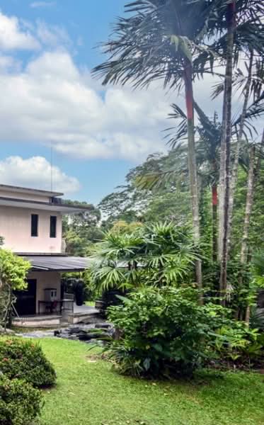 D11 $15XX/PSF. RARE HUGE REGULAR LAND. WIDE FRONTAGE. SUIT REDEVELOPMENT. JEAN 93571119, , 7 Bedrooms, 6,800 sqft, Detached House For Sale, by Jean Ong, 500100913 - Exterior - PropertyGuru.com.sg