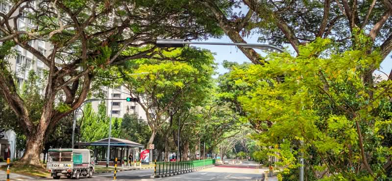 109A Depot Road HDB Flat For Sale at S$ 850,000 | PropertyGuru Singapore - Exterior