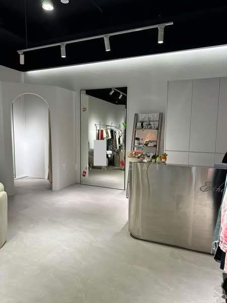 Delfi Orchard, 402 Orchard Road Singapore, 441 sqft, Mall Shop For Rent, by Tina Cai, 500100928 - Interior - CommercialGuru.com.sg