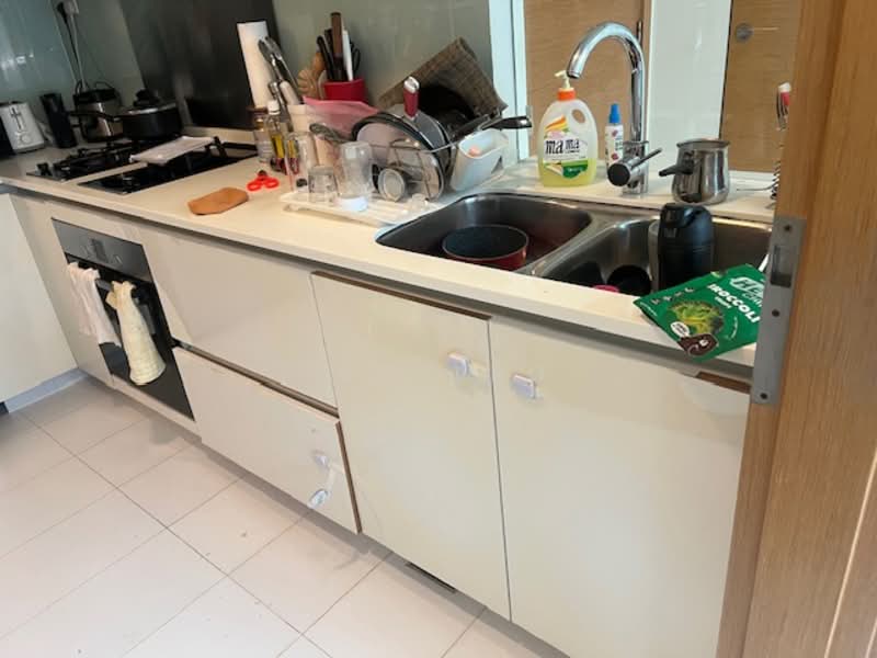 Wilkie Studio Condominium For Sale at S$ 2,800,000 | PropertyGuru Singapore - Kitchen