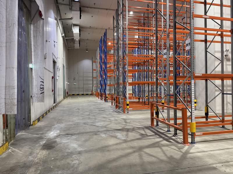 Cold Room | 8.8m Clear | Optional Rackings @ Jurong, , 31,600 sqft, Warehouse For Rent, by Ryan Chau, 500101675 - Interior - CommercialGuru.com.sg
