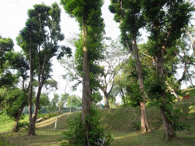 CLEMENTI PARK - Most Private Unit Condominium For Sale at S$ 2,990,000 | PropertyGuru Singapore