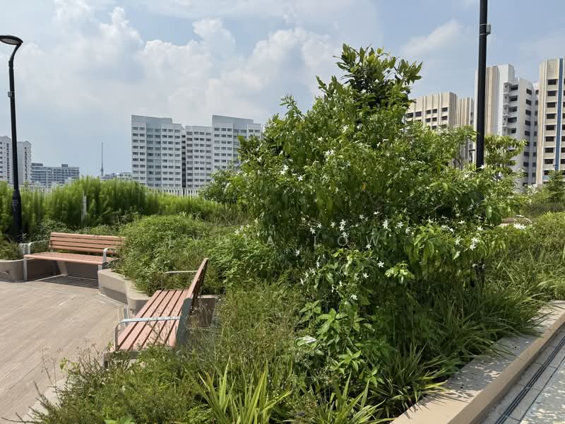 For Rent - 97B Circuit Road