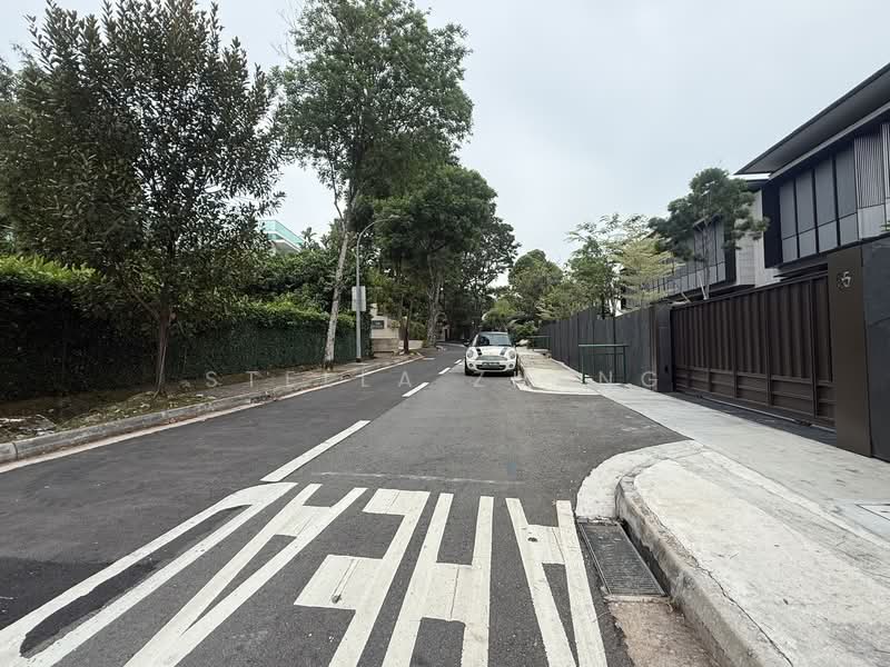 Leedon Park, Leedon Park, 4 Bedrooms, 4,500 sqft, Good Class Bungalow For Sale, by Stella Zhang, 500102058 - Exterior - PropertyGuru.com.sg