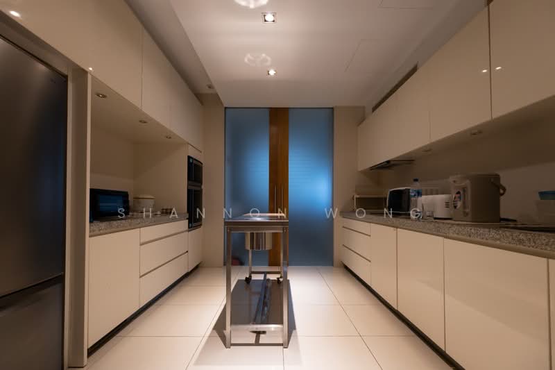 Grange Residences, 95 Grange Road, 4 Bedrooms, 2,853 sqft, Condominium For Sale, by Shannon Wong, 500102244 - Kitchen - PropertyGuru.com.sg