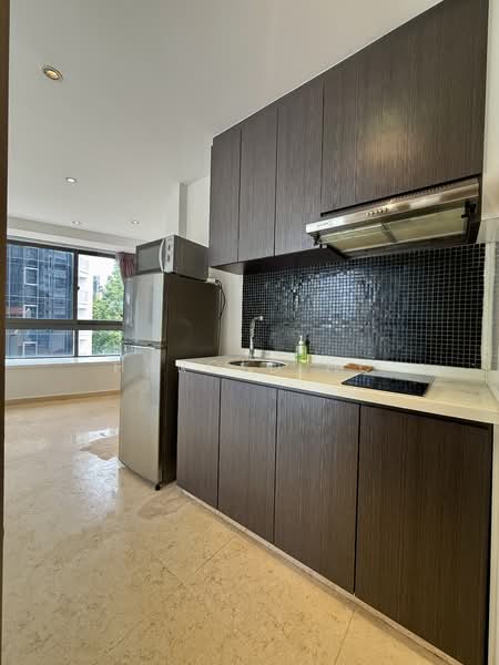 Attitude @ Kim Yam, 1 Kim Yam Road, Studio, 355 sqft, Condominium For Rent, by Harold Ho, 500102321 - Kitchen - PropertyGuru.com.sg