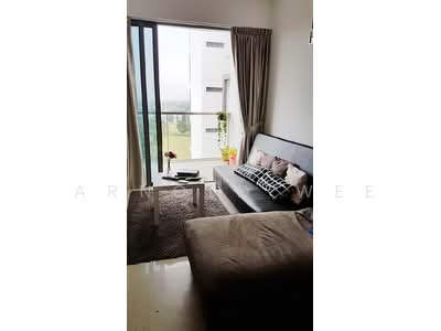 For Rent - Skies Miltonia