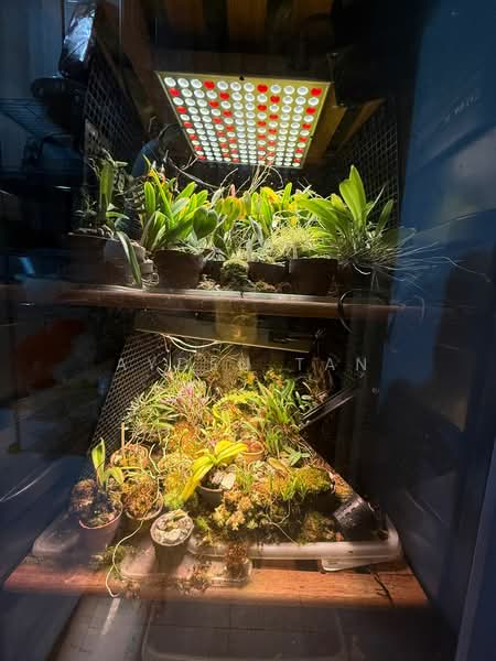 Seasons Park, 491 Yio Chu Kang Road, 2 Bedrooms, 1,033 sqft, Condominium For Sale, by Ayden Tan, 500102370 - Interior - PropertyGuru.com.sg